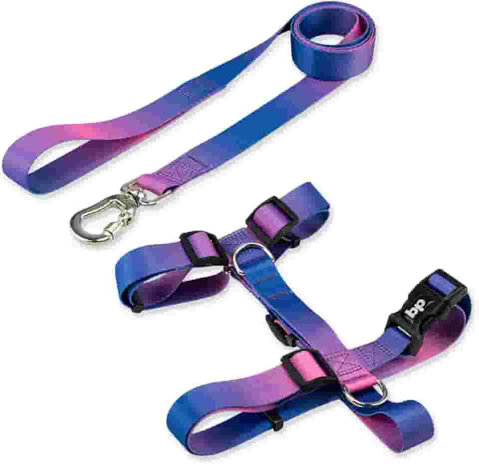 Coleira Peitoral Com Guia Para Cachorro Cães Modelo Tradicional H Tamanho Porte Grande Médio Pequeno (M, Lily)