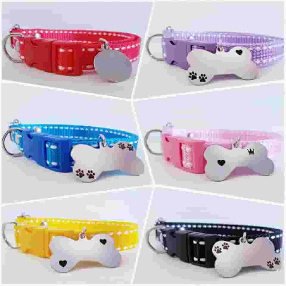 Coleira Para Cães Com Plaquinha de Identificação Personalizada (Rosa Pontilhada-M (Plaquinha Oval))