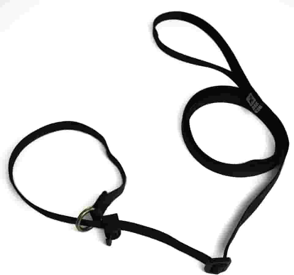 Guia Unificada Cachorro Adestramento Cores (Preto, 1,80 metros)