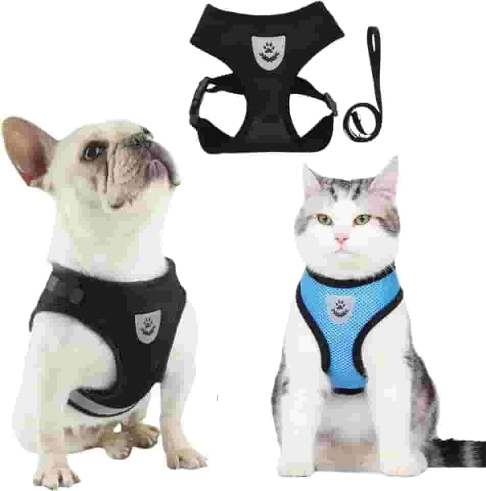 Coleira Peitoral Para Cachorro Pet Colete Refletivo + Guia Cor Preto Tamanho Da Coleira (Preto, M)