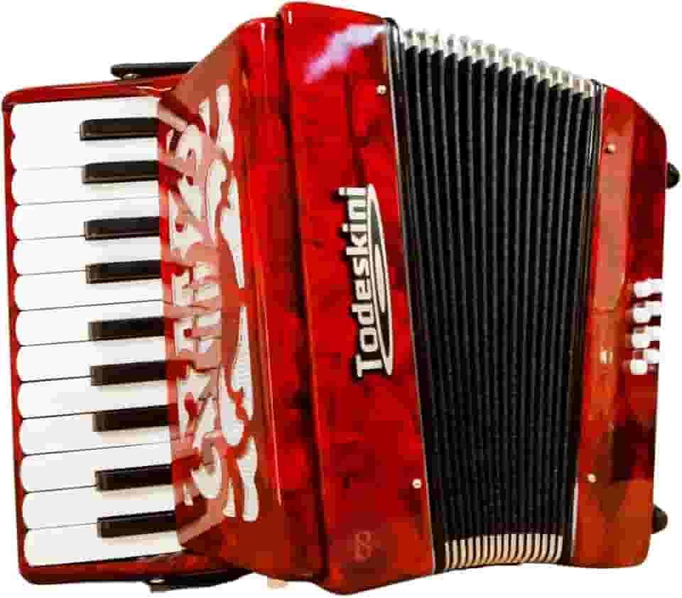 Acordeom/sanfona/gaita Todeskini 8 Baixos Proficional Novo
