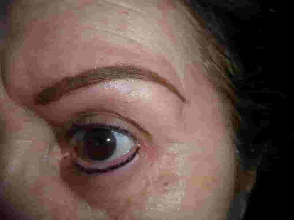 curso de sobrancelha definitiva