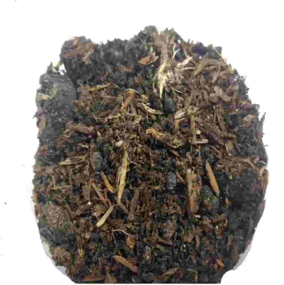 TERRA NOBRE ESTERCO DE GALINHA PARA PLANTIO 700G