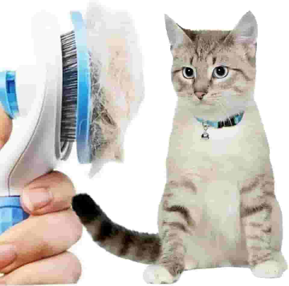 Escova Rasqueadeira Autolimpante para Cães e Gatos | Remove Pelos e Nós com Suavidade | Cerdas Inox e Cabo Ergonômico