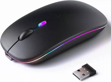 Mouse Sem Fio Recarregável, Ergonômico, com Led RGB, Conexão Dual Bluetooth 5.0/USB 2.4GHz, DPI Ajustável, perfeito para Notebook, Laptop,PC, Desktop, Silencioso (Preto)