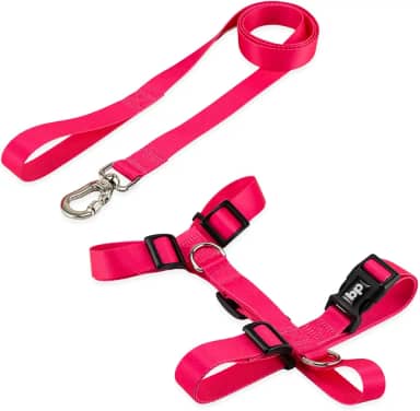 Basic Pet Coleira Peitoral Com Guia Para Cachorro Cães Modelo Tradicional H Tamanho Porte Grande Médio Pequeno (G, Rosa)