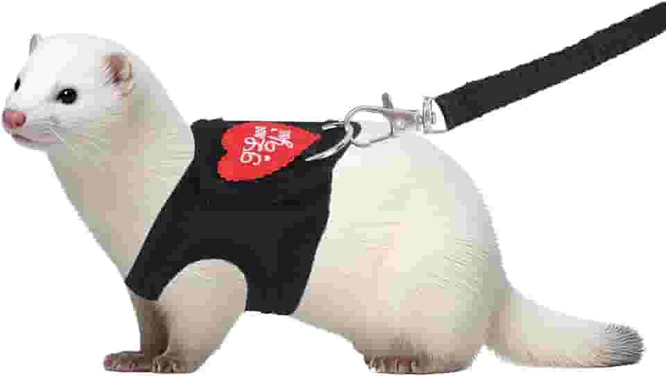 Conjunto de arnês e coleira para furões, coleira ajustável com estampa de leopardo, arnês macio para animais de estimação pequenos, incluindo furões, porquinhos-da-índia, coelhos, hamsters e gatinhos