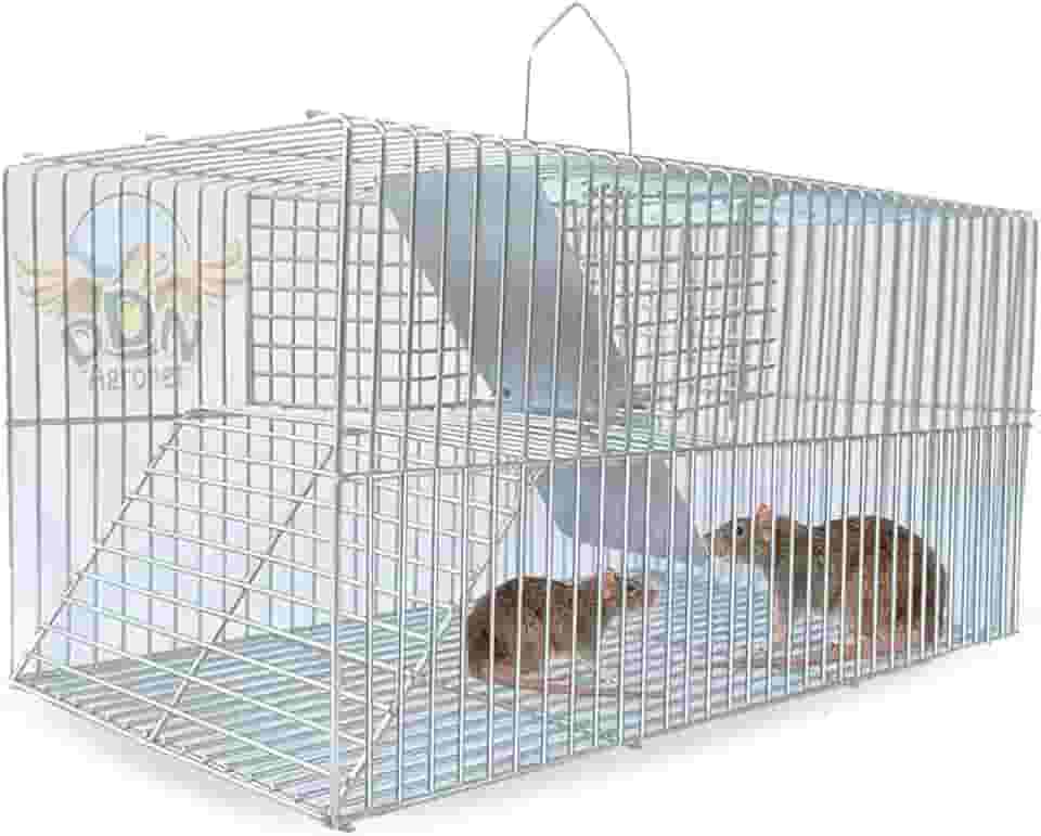 Gaiola Ratoeira Armadilha Pegar Rato Camundongo Fundo Falso