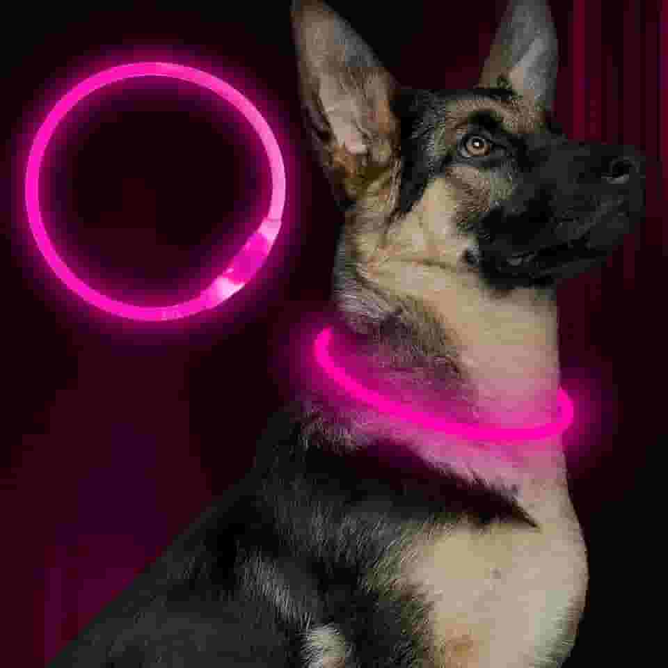 Coleira LED para cães, BSEEN USB, recarregável, para cães, leve, coleira de segurança para animais de estimação faz com que seus amados cães sejam vistos à noite para cães pequenos, médios e grandes