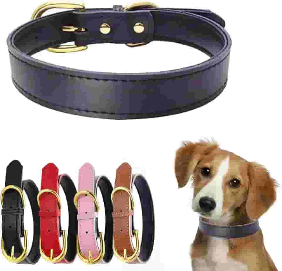 Coleira de couro para cães pequenos, acolchoada de toque macio, couro bovino genuíno, fivela dourada, durável, para gatos, filhotes, coleiras ajustáveis para cães pequenos, médios e grandes, preta P