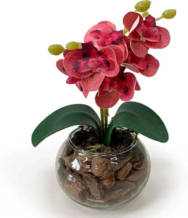 Arranjo Mini Orquídea Artificial no Vaso de Vidro Transparente com Casca – Decoração Sofisticada (Fúcsia)