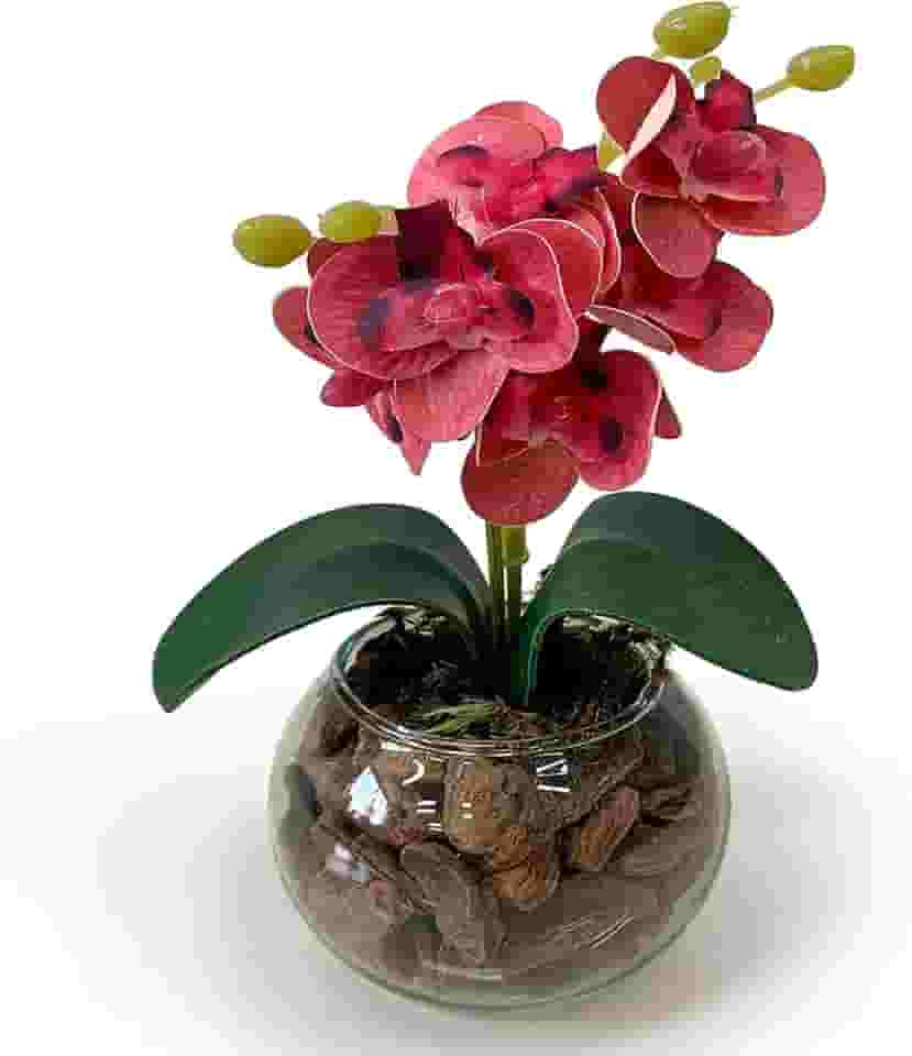 Arranjo Mini Orquídea Artificial no Vaso de Vidro Transparente com Casca – Decoração Sofisticada (Fúcsia)