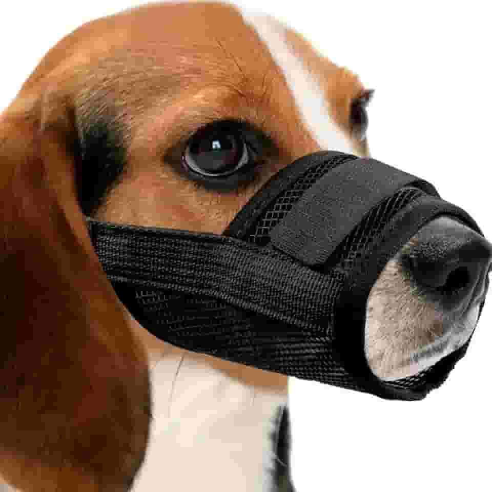 Focinheira Respirável Regulável para Cachorro Pequeno Médio e Grande Tamanhos P/M/G/GG/GGG 8 Cores (Preto, M)