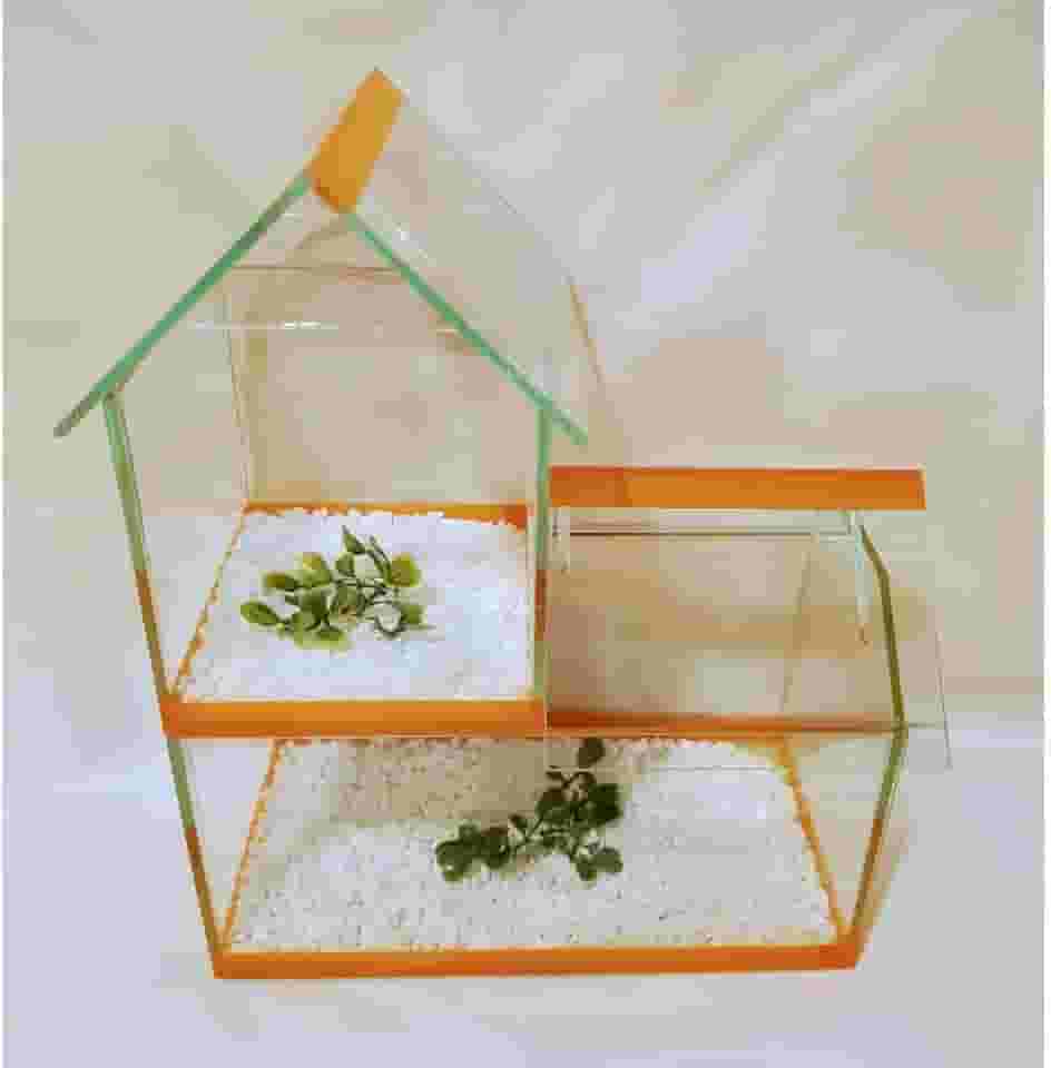 Aquario Beteira Modelo Castelo Peixe Betta Dois Andar com Pedrinhas e Planta Artificial (Laranja)
