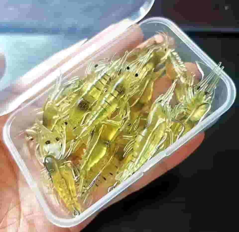 Kit 10 Isca Camarão artificial para Pesca, Camarão com anzol e estojo!