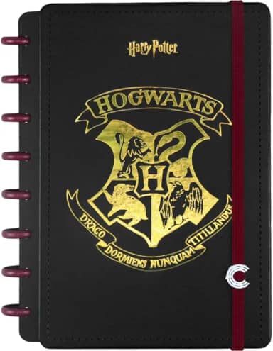 Caderno Inteligente, A5, Harry Potter, 140x200 mm, 80 Folhas