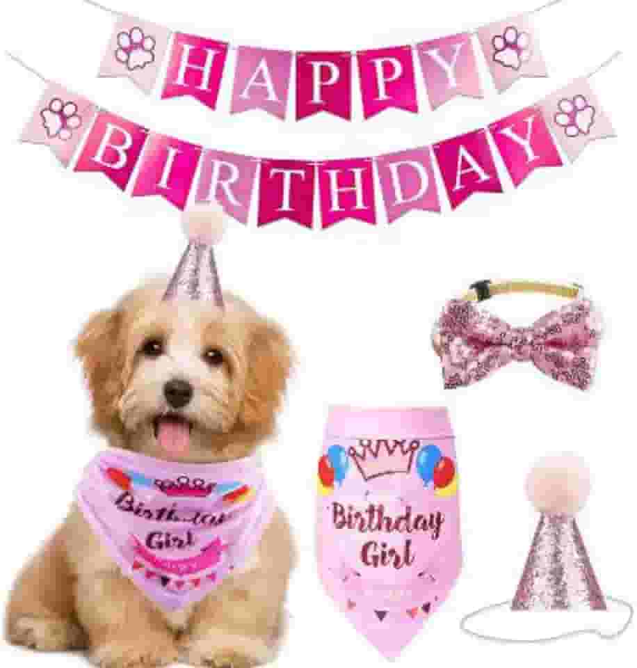 Combo Decoração de Aniversário para Pets – Chapéu, Bandana, Gravata e Bandeirinha 'Happy Birthday' (Rosa)