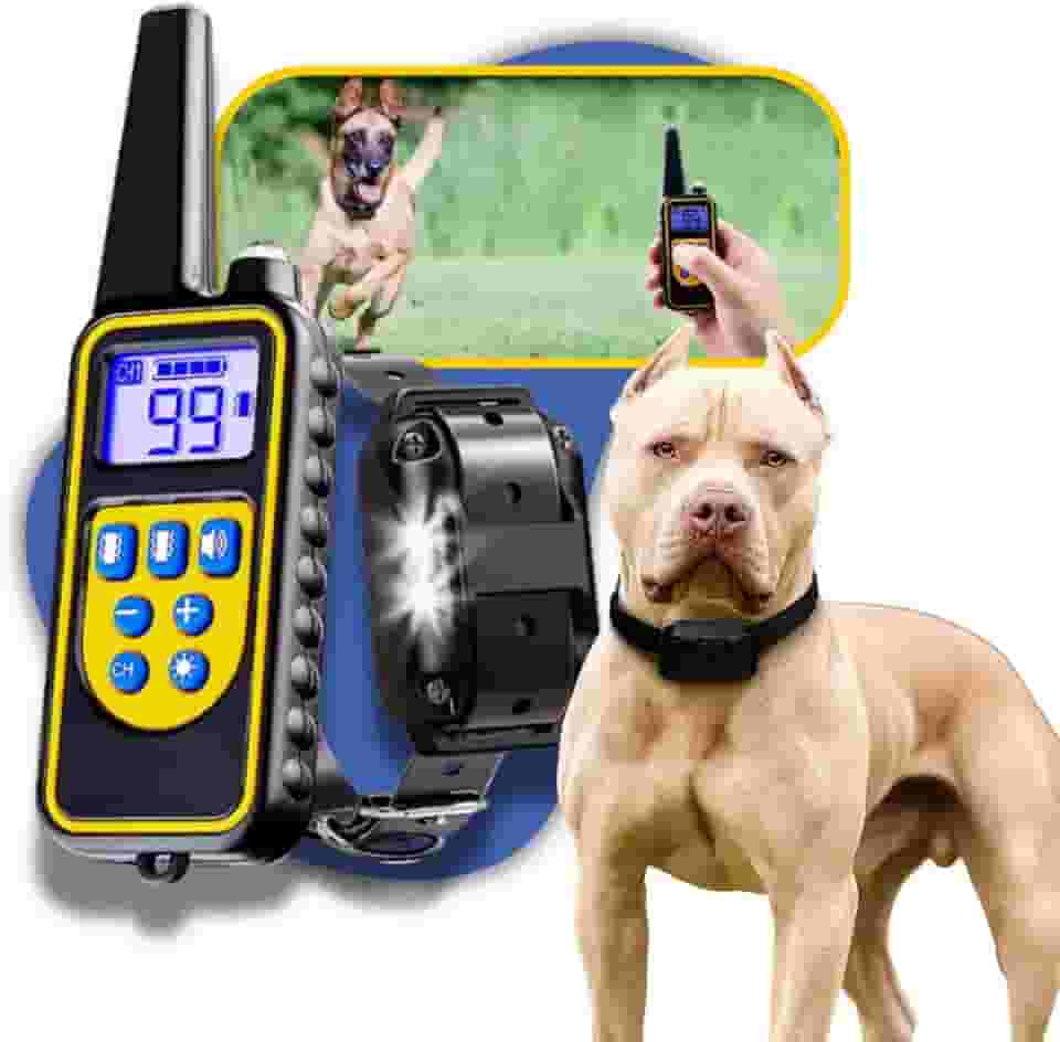 Coleira Eletrônica de Adestramento para Cães, Alcance de 800m, 3 Modos de Treinamento (Som, Vibração, Pulso), Ajustável 14-67cm, Controle para 3 Coleiras, Recarregável