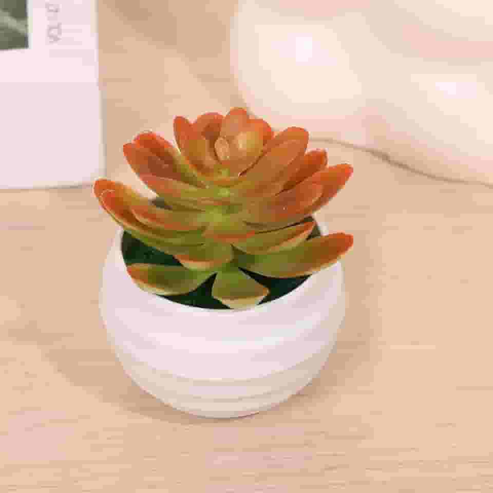 1 pacote com mini plantas suculentas artificiais de aloe - plantas falsas em vasos de toque real com vasos de cerâmica, decoração de mesa pequena para casa, escritório, mesa e prateleira (vermelho)