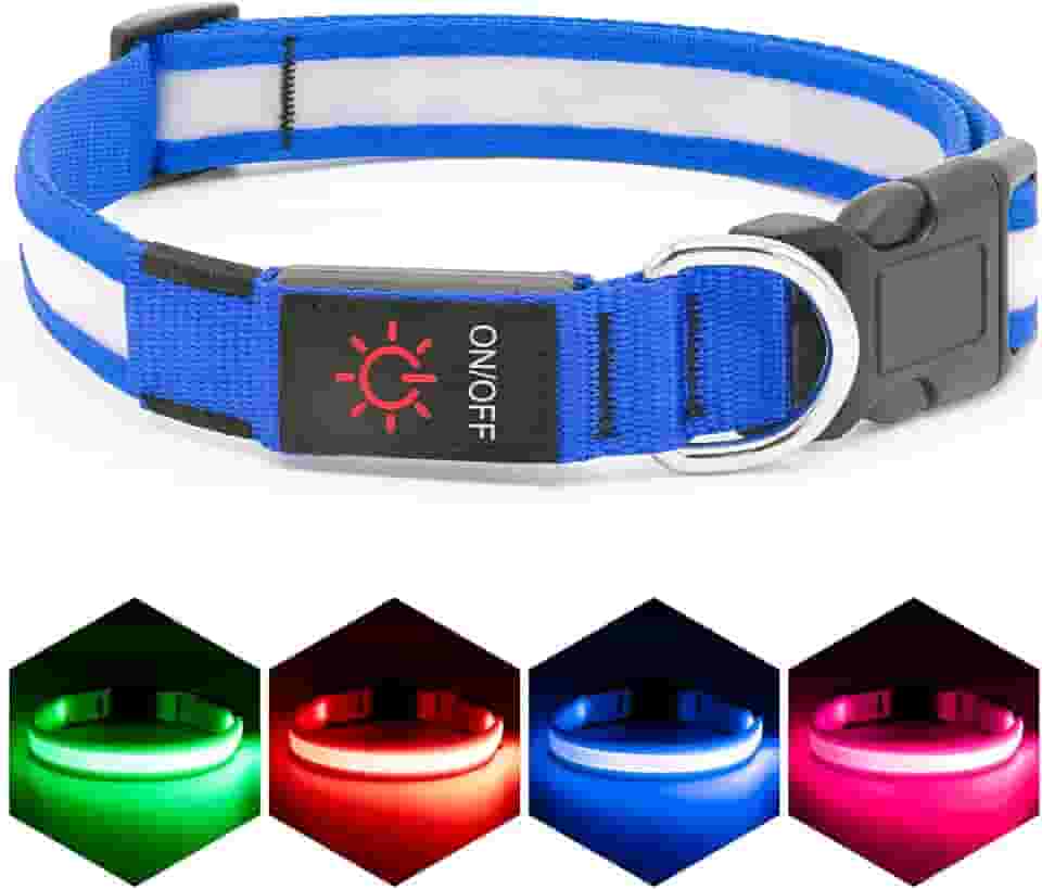 VIZPET Coleira de LED para cães recarregável USB 100% à prova d'água ajustável com iluminação super brilhante coleira de segurança brilhante para cães (azul, médio