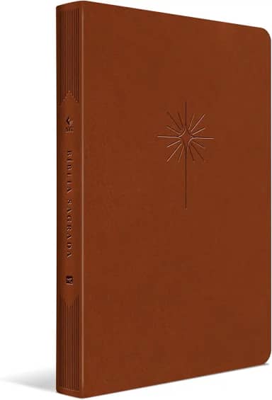 Bíblia NVT Filament (Marrom, Luxo Couro Sintético): Slim Letra Grande