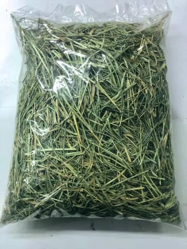 5 KG Feno Tifton 85 Verdinho para Porquinho da India e Roedores