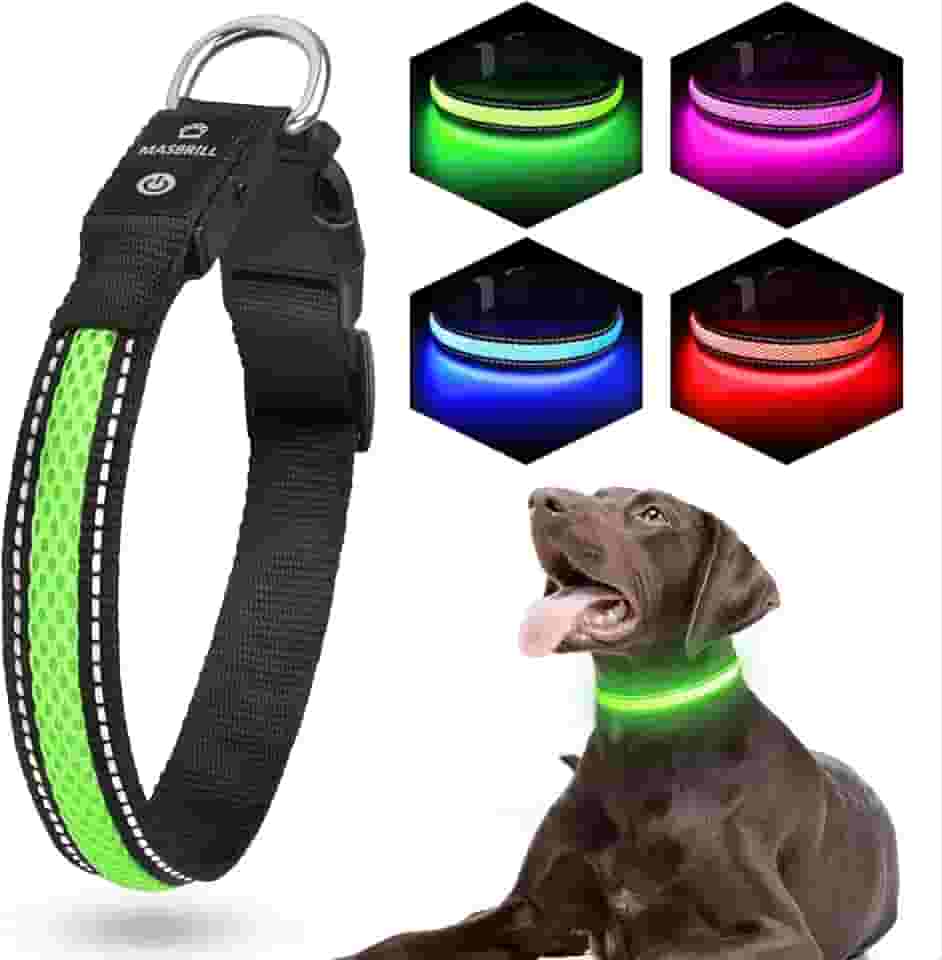 Coleiras para cães com iluminação, coleira de cachorro LED MASBRILL recarregável, à prova d'água e de alta visibilidade, ajustável, malha macia, coleiras de segurança para cães, coleira iluminada com brilho para caminhadas noturnas de animais de estimação, verde GG