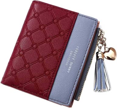 Carteira feminina bonita, elegante, longa, fina, porta-cartões, minimalista, porta-moedas, borlas finas, com zíper, carteiras de embreagem para meninas e mulheres