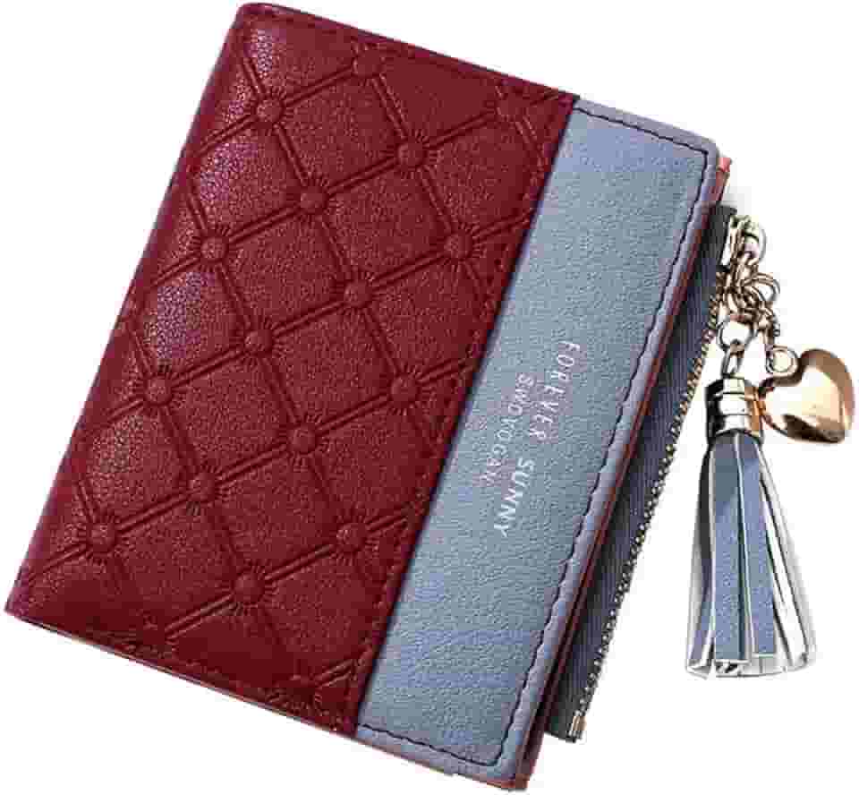 Carteira feminina bonita, elegante, longa, fina, porta-cartões, minimalista, porta-moedas, borlas finas, com zíper, carteiras de embreagem para meninas e mulheres