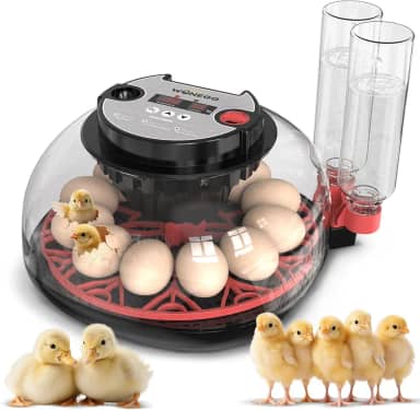 YinRazer Chocadeira Para 12 Ovos, Viradora Automática Com Controle De Temperatura E Umidade, Chocadeira, Alarme Baixo, Frango, Pato, Peru, Ganso