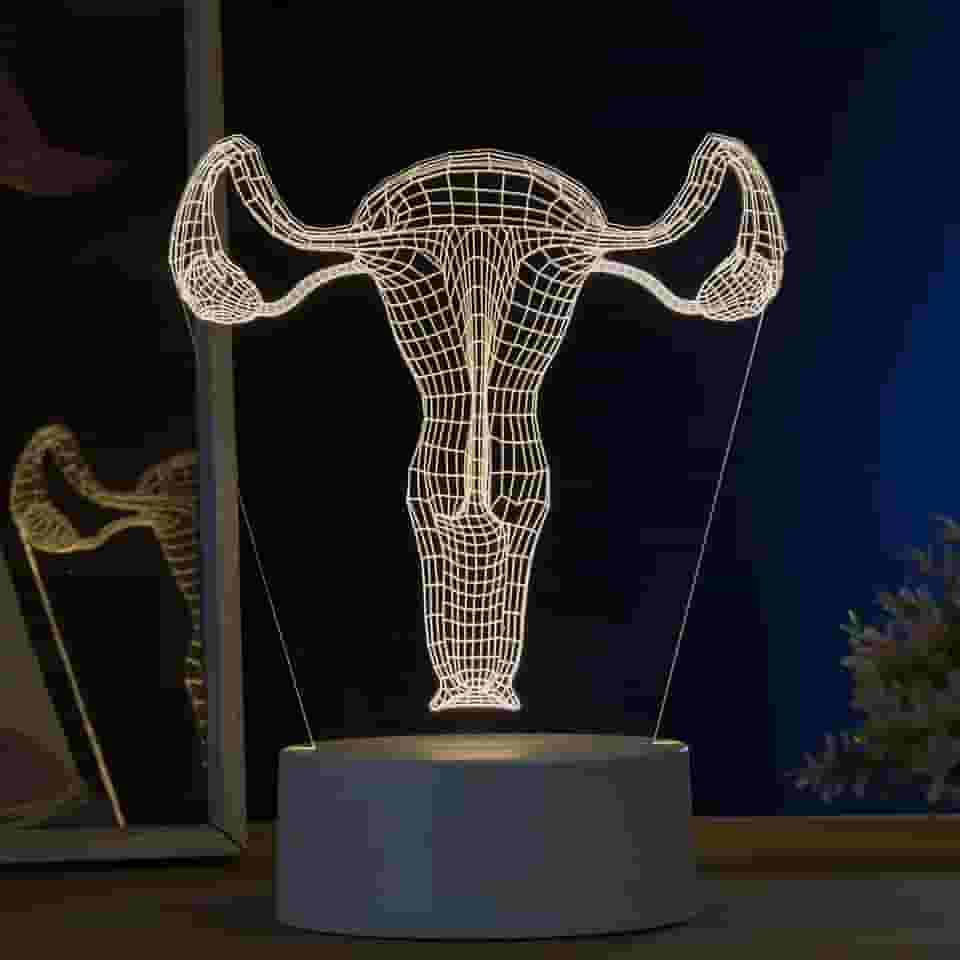 Luminária led 3d, abajur de mesa, sistema reprodutor feminino, útero- órgãos