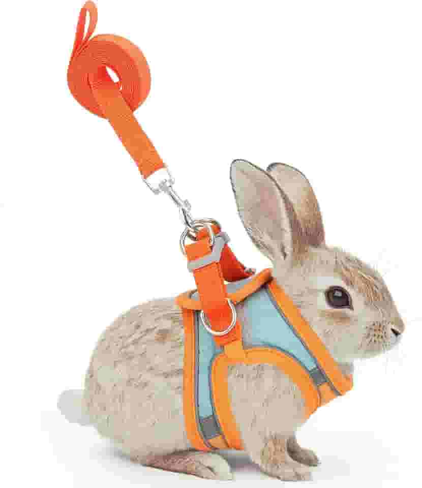 Conjunto de arnês e coleira de coelho ajustável, fivela dupla com tiras refletivas, colete respirável para gatinho, furão, porco, filhote, animais pequenos, acessórios de caminhada