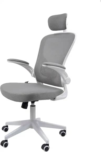 Cadeira Ergonômica Eurynom, Giratória, para Escritório e Home Office, com Encosto Reclinável, Braços Pivotantes, Apoio de Cabeça, Apoio Lombar (Cinza)