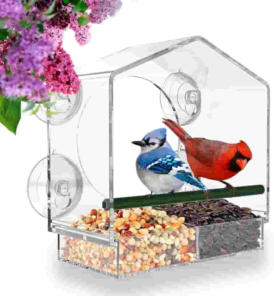 Comedouro de janela para pássaros Mrcrafts, uso externo, com ventosas fortes, serve para cardeais, pintassilgos, chapins e outros