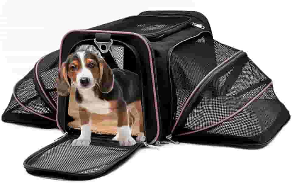 Bolsa Pet Expansível para Transporte em Avião Cães e Gatos Ventilada até 14kg Tela Arejada e Tapete Removível - Duke & Dixie