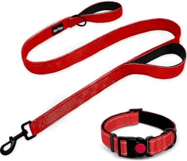 Coleira refletiva dupla face resistente para cães - Coleira acolchoada com fivela reforçada de nylon, vermelha, grande, 1,8 m