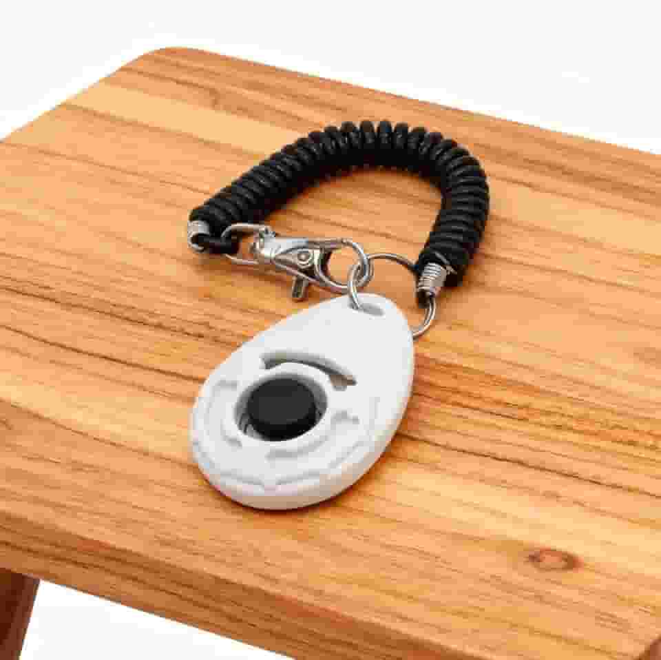 Clicker de treinamento de cães com pulseira para adestrador de cães branco