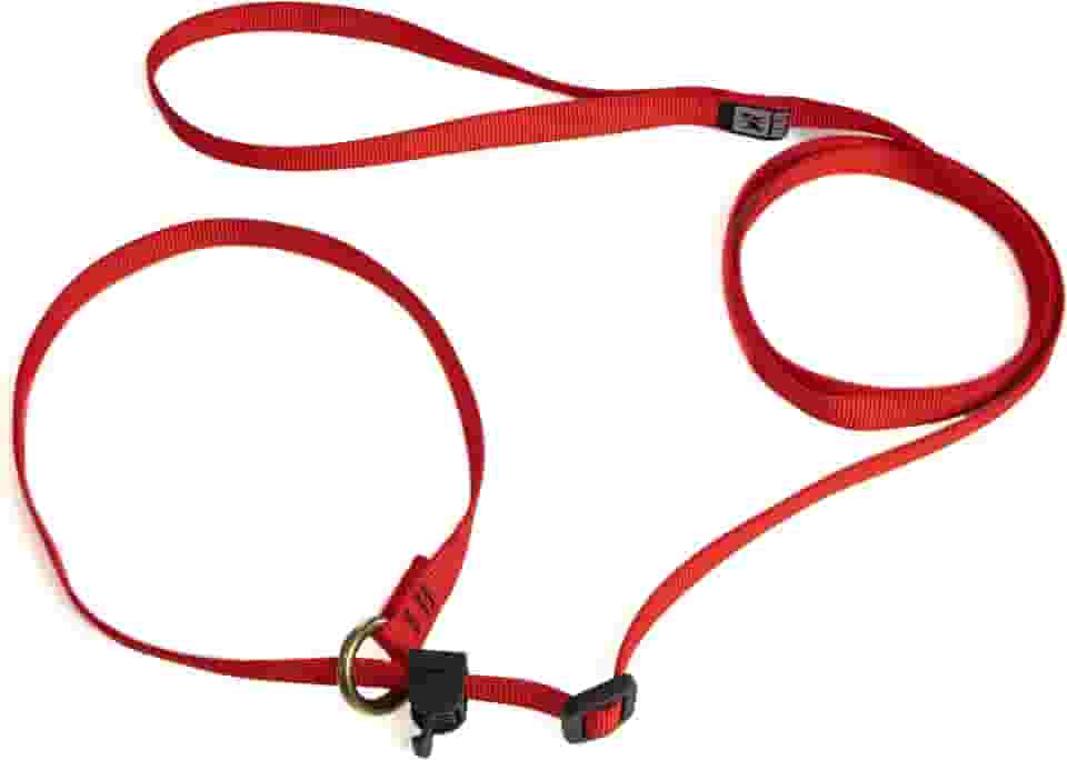 Guia Unificada Cachorro Adestramento 1,80m Cores (laranja, 1,80m)