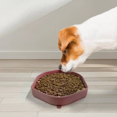 Tapete de lambida para cães em forma de escudo, almofada de lamber para cães com ventosas para ansiedade, iogurte de alimentação lenta ou tapete de lamber para cães com manteiga de amendoim - alívio