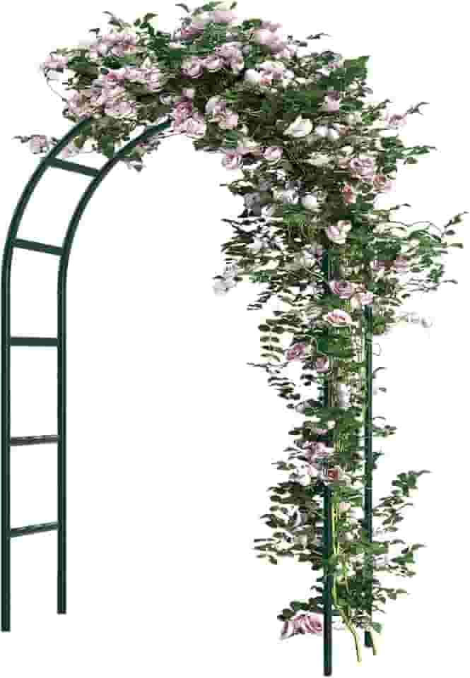 rubfac Arco de Jardim de Metal, Decoração de Casamento e Eventos, Treliça de Jardim para Plantas Trepadeiras, Monte Livremente 2 Tamanhos para Vários Tamanhos de Plantas Trepadeiras Rosas Videiras Dec