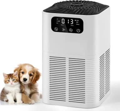 Purificador de Ar para Quarto, Purificador de Ar para e Animais de Estimação, Purificador de Ar Compacto, Ionizador de Ar Negativo, Purificador de Ar para Fumo