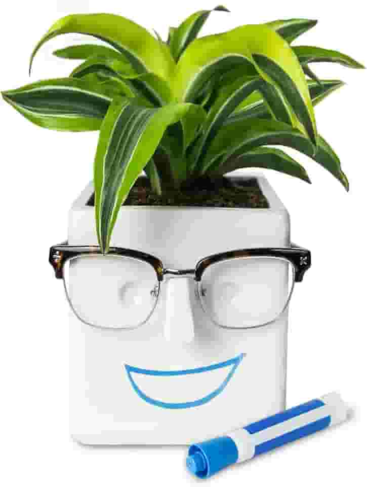30 Watt, Planta FACE | Plantador inovador que segura suas plantas, copos e você pode desenhar. Vaso de cerâmica elegante para suculentas, cactos ou sua samambaia comum para sua casa. Presente de Dia