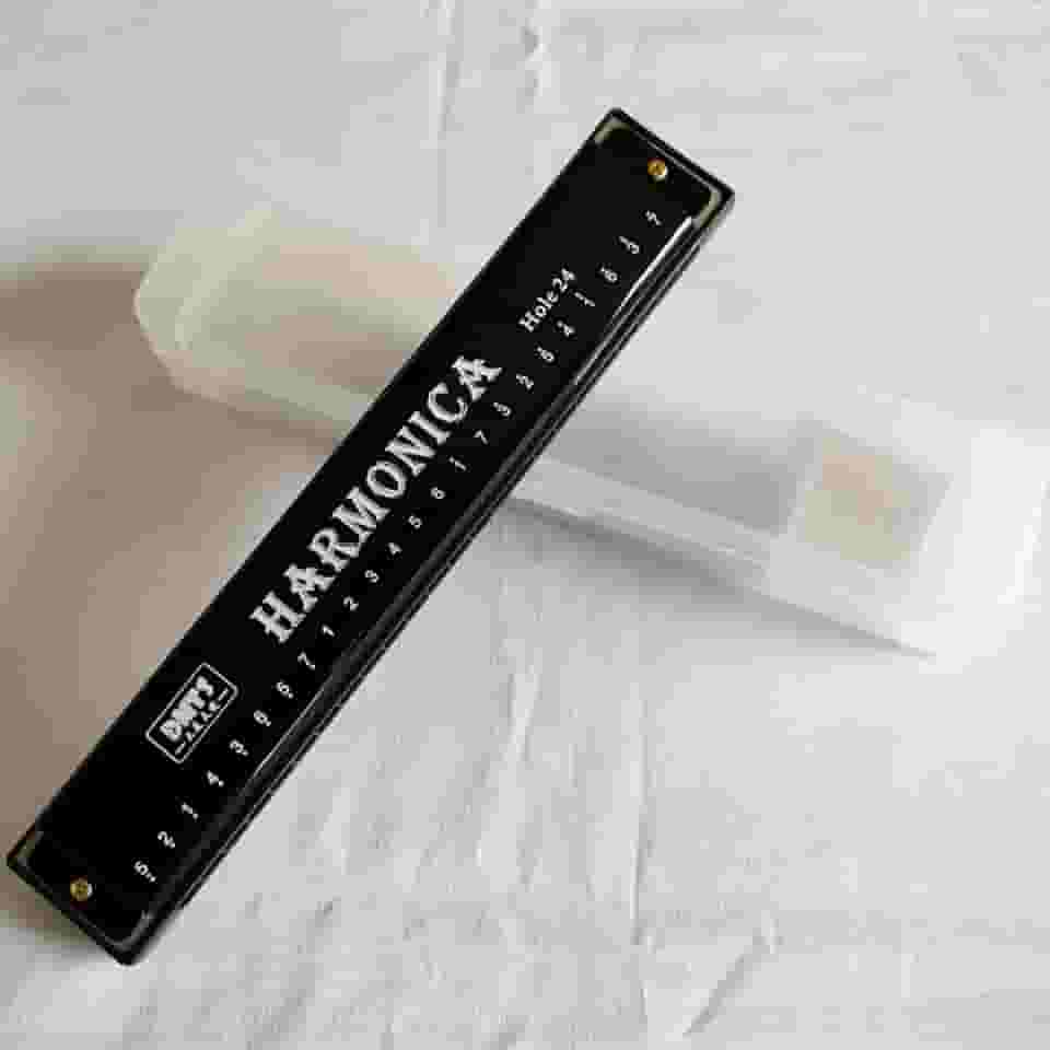 Gaita de 24 furos em chave C, gaita tremolo colorida para iniciantes, autoestudo e presente (preto)