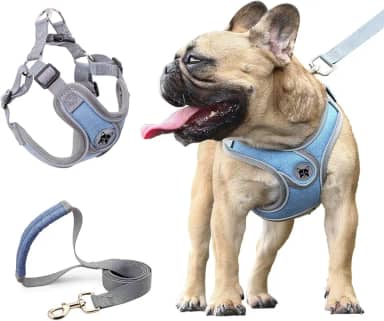 Coleira Peitoral para Cachorros, Peitoral para Cachorros Pequenos, Coleiras Ajustáveis, Peitorais e Guias para Cães, para Treinamento e Corrida, Cães Pequenos, Médios e Grandes (M)