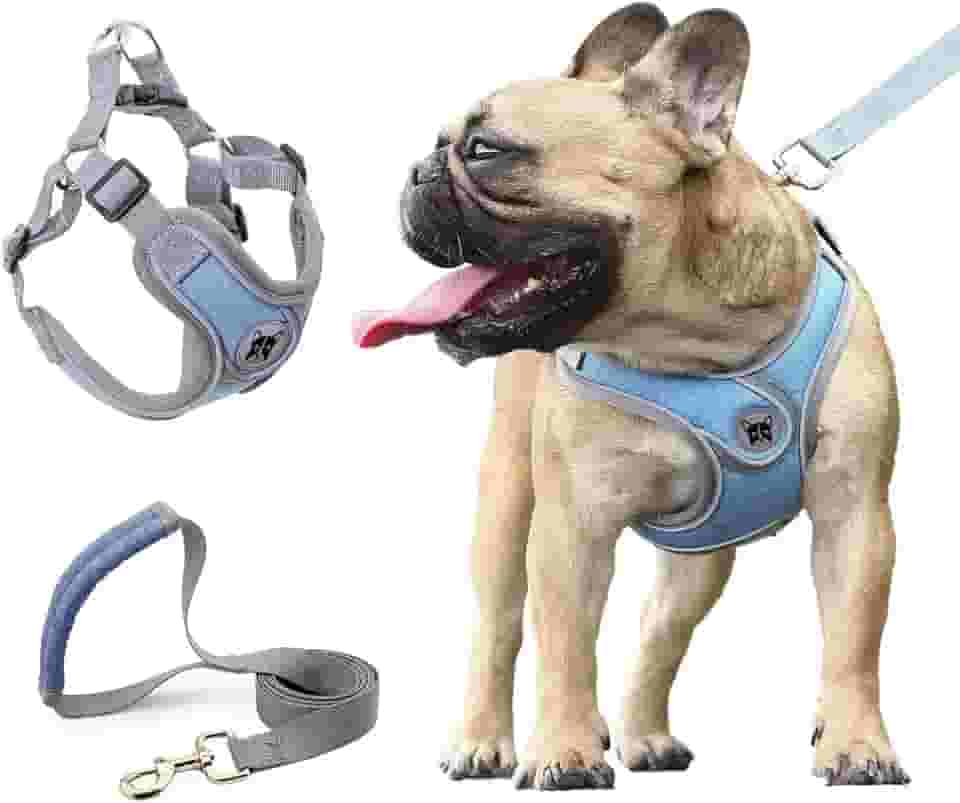 Coleira Peitoral para Cachorros, Peitoral para Cachorros Pequenos, Coleiras Ajustáveis, Peitorais e Guias para Cães, para Treinamento e Corrida, Cães Pequenos, Médios e Grandes (M)