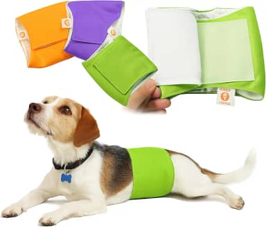PETTING IS CARING Envoltórios para cães machos laváveis e reutilizáveis Fraldas com faixa para o ventre Materiais duráveis e laváveis à máquina - Conjunto de 3 unidades