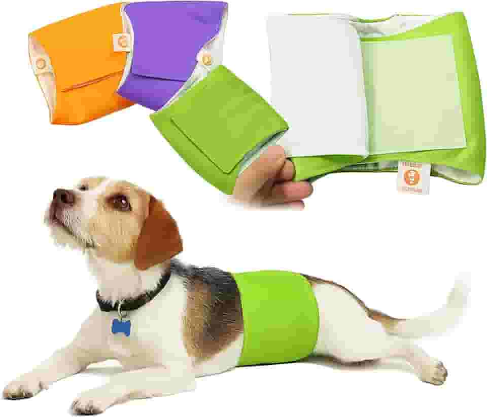 PETTING IS CARING Envoltórios para cães machos laváveis e reutilizáveis Fraldas com faixa para o ventre Materiais duráveis e laváveis à máquina - Conjunto de 3 unidades