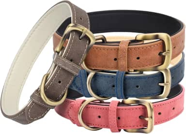 Coleira de couro clássica para cães pequenos, médios e grandes, acolchoada, macia e forte, ajustável, coleira resistente para cães