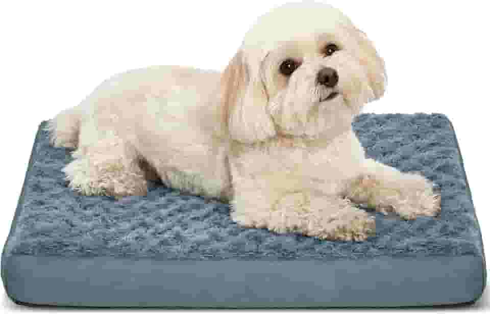 Camas ortopédicas para cães com capa lavável removível de espuma de ovo para animais de estimação com fundo antiderrapante, camas impermeáveis para cães, tamanho pequeno, 50 x 40 cm