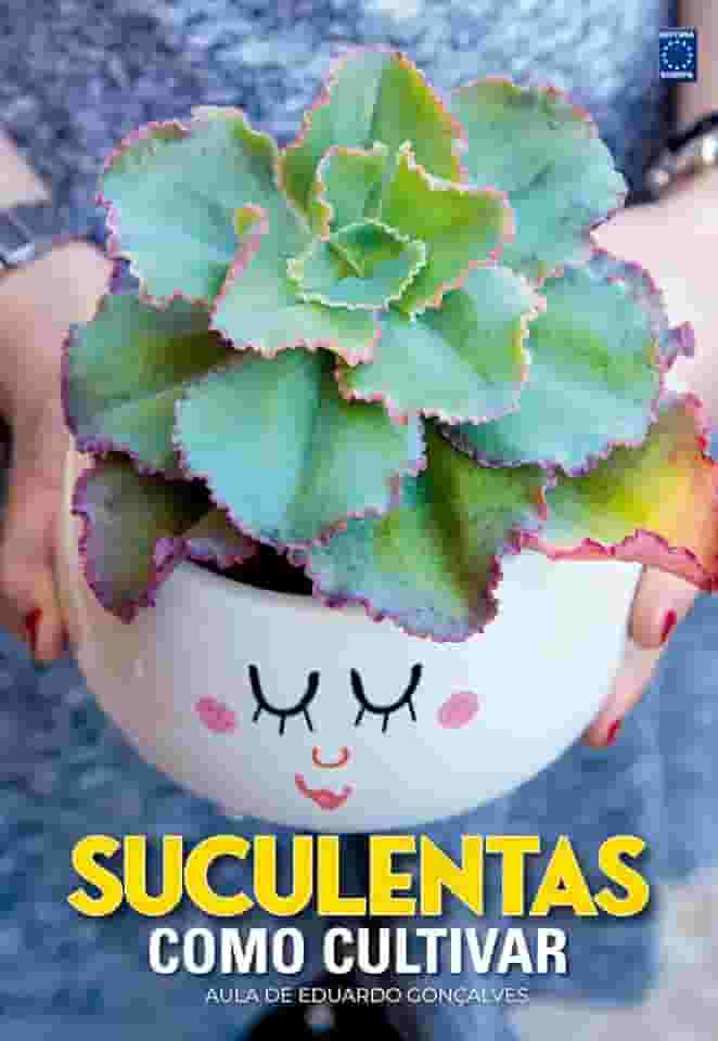 Suculentas - Como Cultivar
